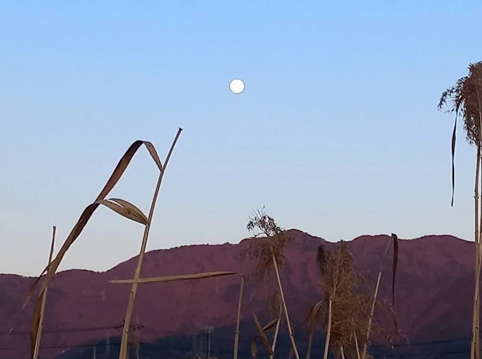 SE-9aee880a-920e-41f7-8b1d-1c49c54c0d03.jpg?type=w773