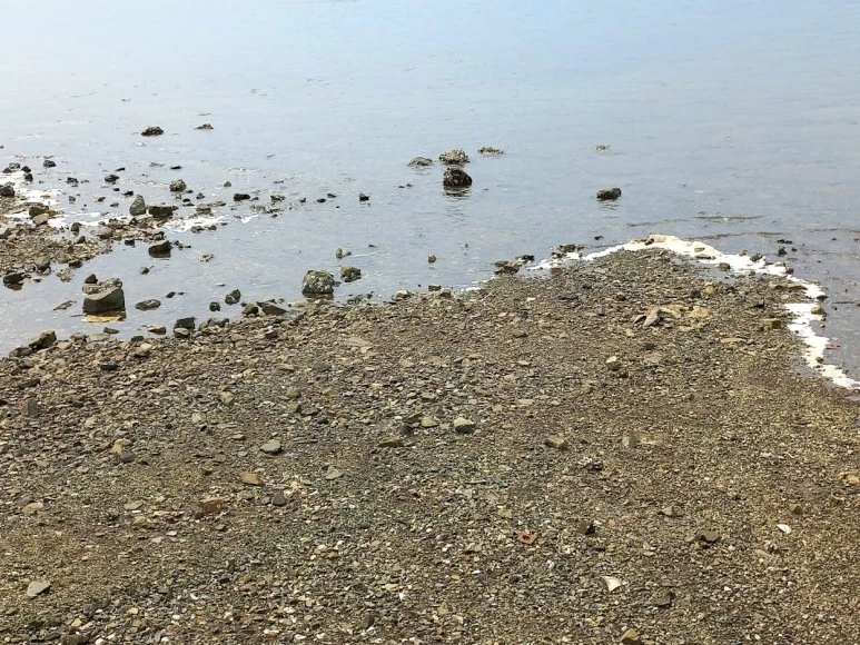 %EA%B0%AF%EC%A7%80%EB%A0%81%EC%9D%B4.jpg?type=w773