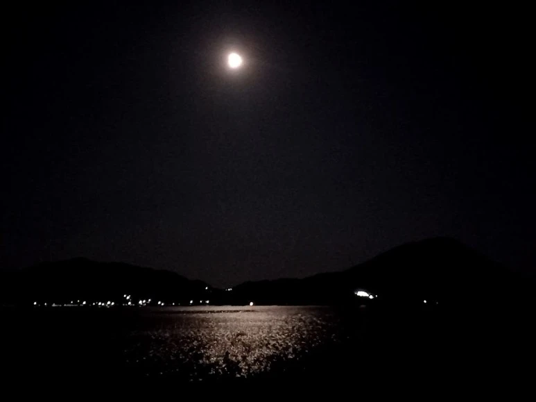 %EB%8B%AC%EB%B9%9B.jpg?type=w773