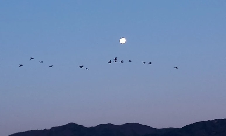 SE-a955b78e-5b6d-46fb-a86e-990f3075217e.jpg?type=w773