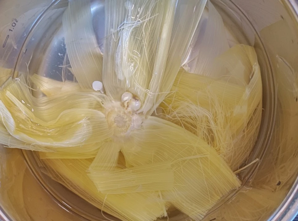 SE-b275730e-d62c-4c22-96d0-24d394021b66.jpg?type=w966