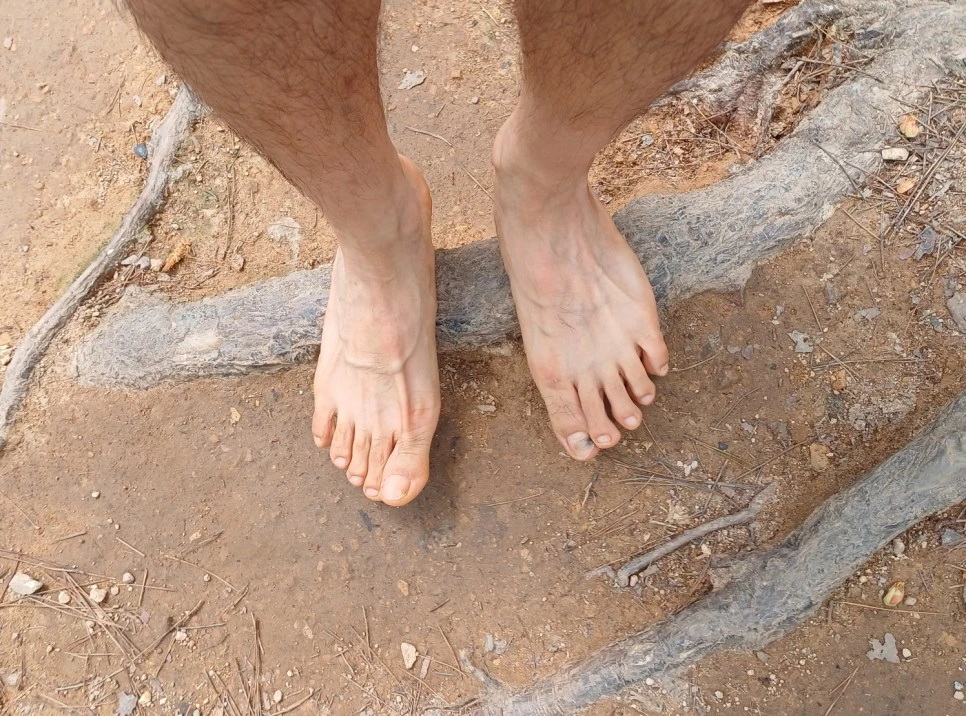 SE-98f2a4c2-86a7-4a87-930c-efd5dbe93db2.jpg?type=w966