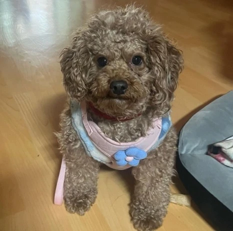 KakaoTalk_20231225_141045192_18.jpg?type=w466