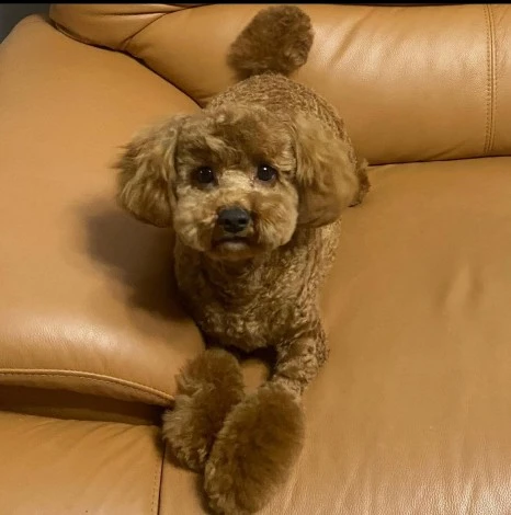 KakaoTalk_20231225_141557516_21.jpg?type=w466