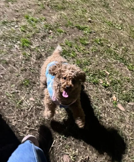 KakaoTalk_20231225_141045192_19.jpg?type=w466