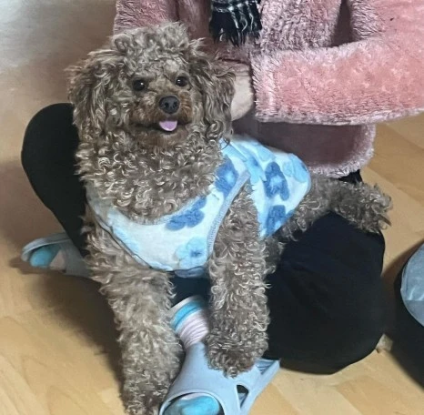 KakaoTalk_20231225_141045192_07.jpg?type=w466