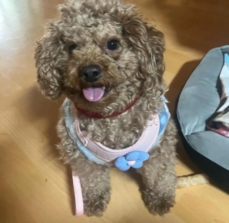 KakaoTalk_20231225_141045192_15.jpg?type=w466