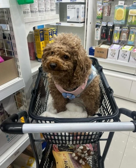 KakaoTalk_20231225_141045192_28.jpg?type=w466