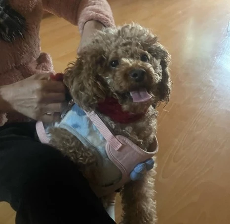 KakaoTalk_20231225_141045192_04.jpg?type=w466