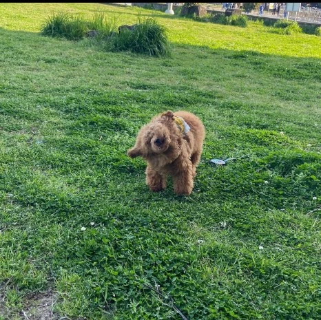 KakaoTalk_20231225_141628446.jpg?type=w466