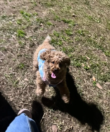 KakaoTalk_20231225_141045192_22.jpg?type=w466