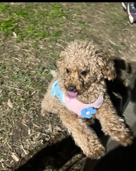 KakaoTalk_20231225_141045192_20.jpg?type=w466