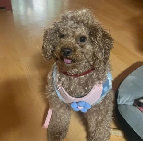 KakaoTalk_20231225_141045192_17.jpg?type=w466