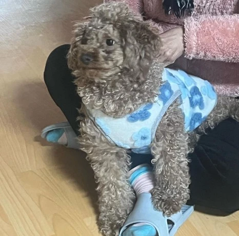 KakaoTalk_20231225_141045192_08.jpg?type=w466