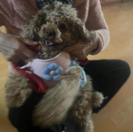 KakaoTalk_20231225_141045192_05.jpg?type=w466