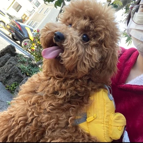 KakaoTalk_20231225_141628446_04.jpg?type=w466