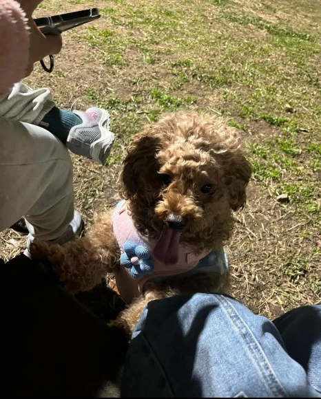 KakaoTalk_20231225_141045192_25.jpg?type=w466