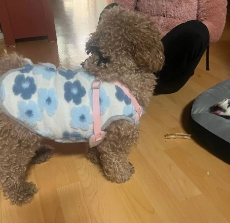 KakaoTalk_20231225_141045192_11.jpg?type=w466