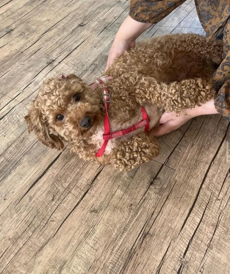 KakaoTalk_20231225_141523928_18.jpg?type=w466