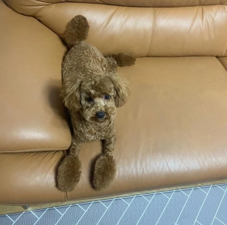 KakaoTalk_20231225_141557516_25.jpg?type=w466