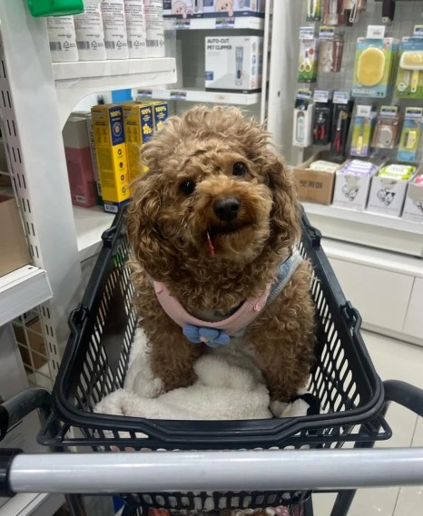 KakaoTalk_20231225_141106173_01.jpg?type=w466