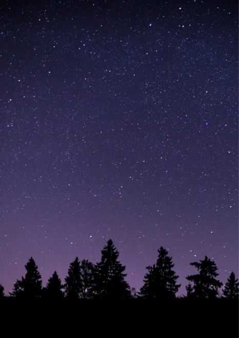 %EB%B6%80%EC%84%9C%EC%A7%84_%EA%B2%8C%EC%9C%BC%EB%A6%84(%EB%92%A4%ED%91%9C%EC%A7%80).png?type=w466