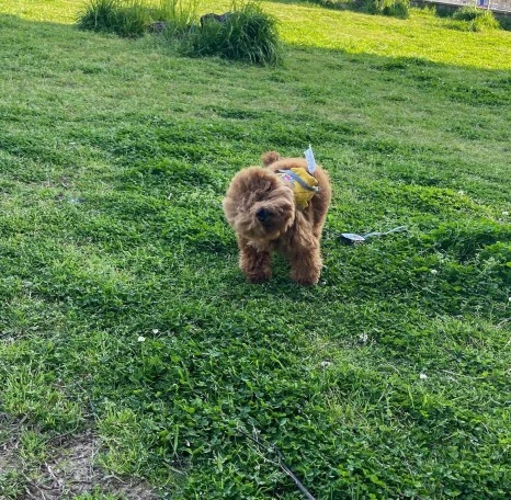 KakaoTalk_20231225_141628446_03.jpg?type=w466