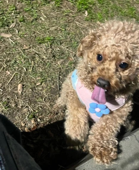 KakaoTalk_20231225_141045192_21.jpg?type=w466