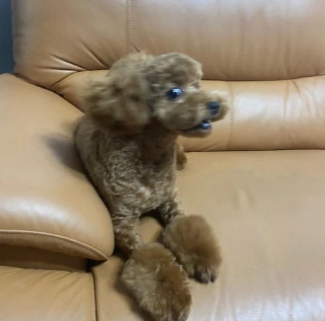 KakaoTalk_20231225_141557516_24.jpg?type=w466