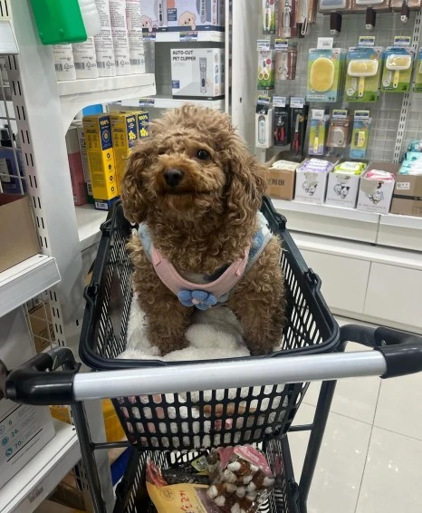 KakaoTalk_20231225_141106173.jpg?type=w466