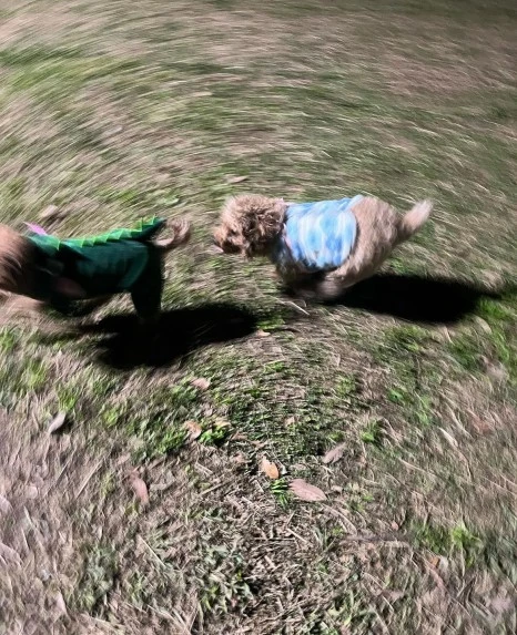 KakaoTalk_20231225_141045192_23.jpg?type=w466