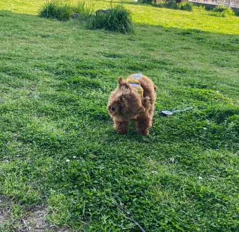 KakaoTalk_20231225_141628446_02.jpg?type=w466