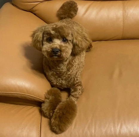 KakaoTalk_20231225_141557516_22.jpg?type=w466