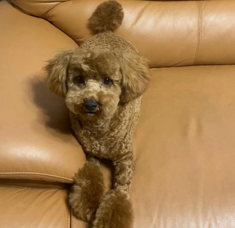 KakaoTalk_20231225_141557516_23.jpg?type=w466