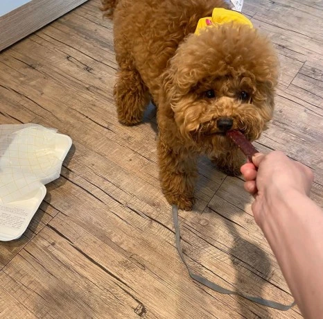 KakaoTalk_20231225_141628446_05.jpg?type=w466