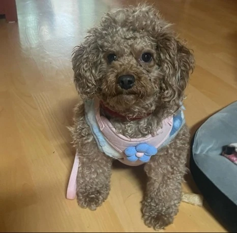 KakaoTalk_20231225_141045192_13.jpg?type=w466