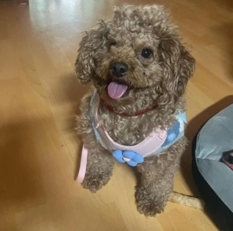 KakaoTalk_20231225_141045192_16.jpg?type=w466