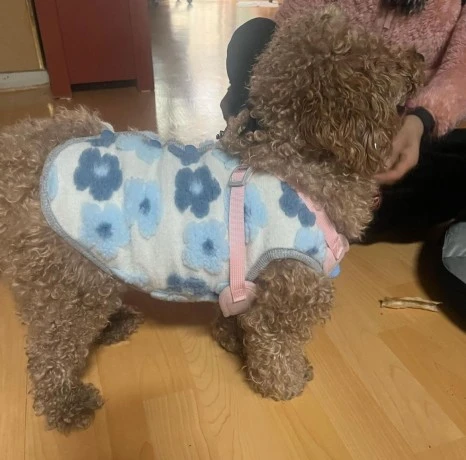 KakaoTalk_20231225_141045192_10.jpg?type=w466