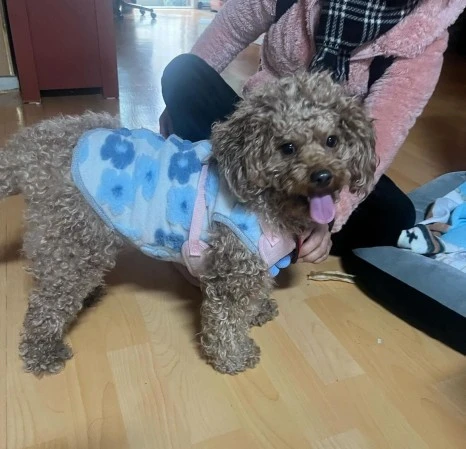 KakaoTalk_20231225_141045192_12.jpg?type=w466