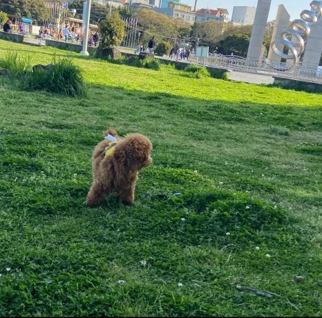 KakaoTalk_20231225_141557516_28.jpg?type=w466