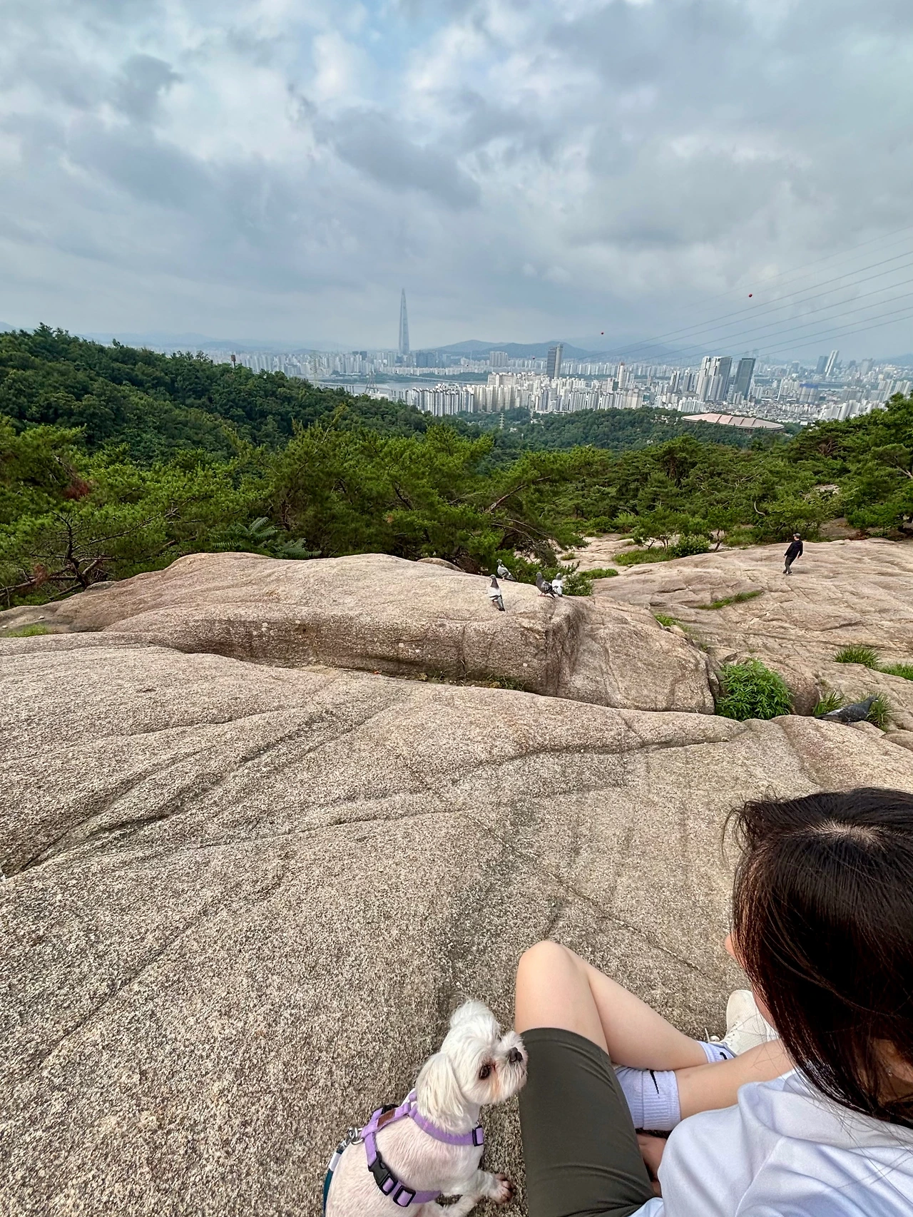 KakaoTalk_Photo_2025-07-07-11-49-30 022.jpeg