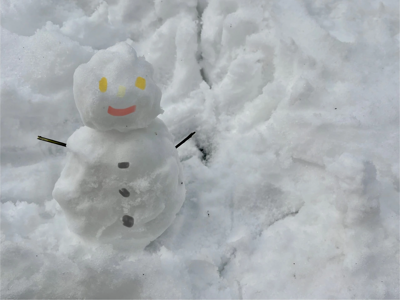 KakaoTalk_Photo_2025-02-02-20-06-07 007.jpeg