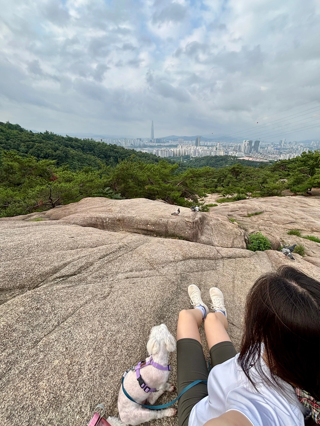 KakaoTalk_Photo_2025-07-07-11-49-28 021.jpeg