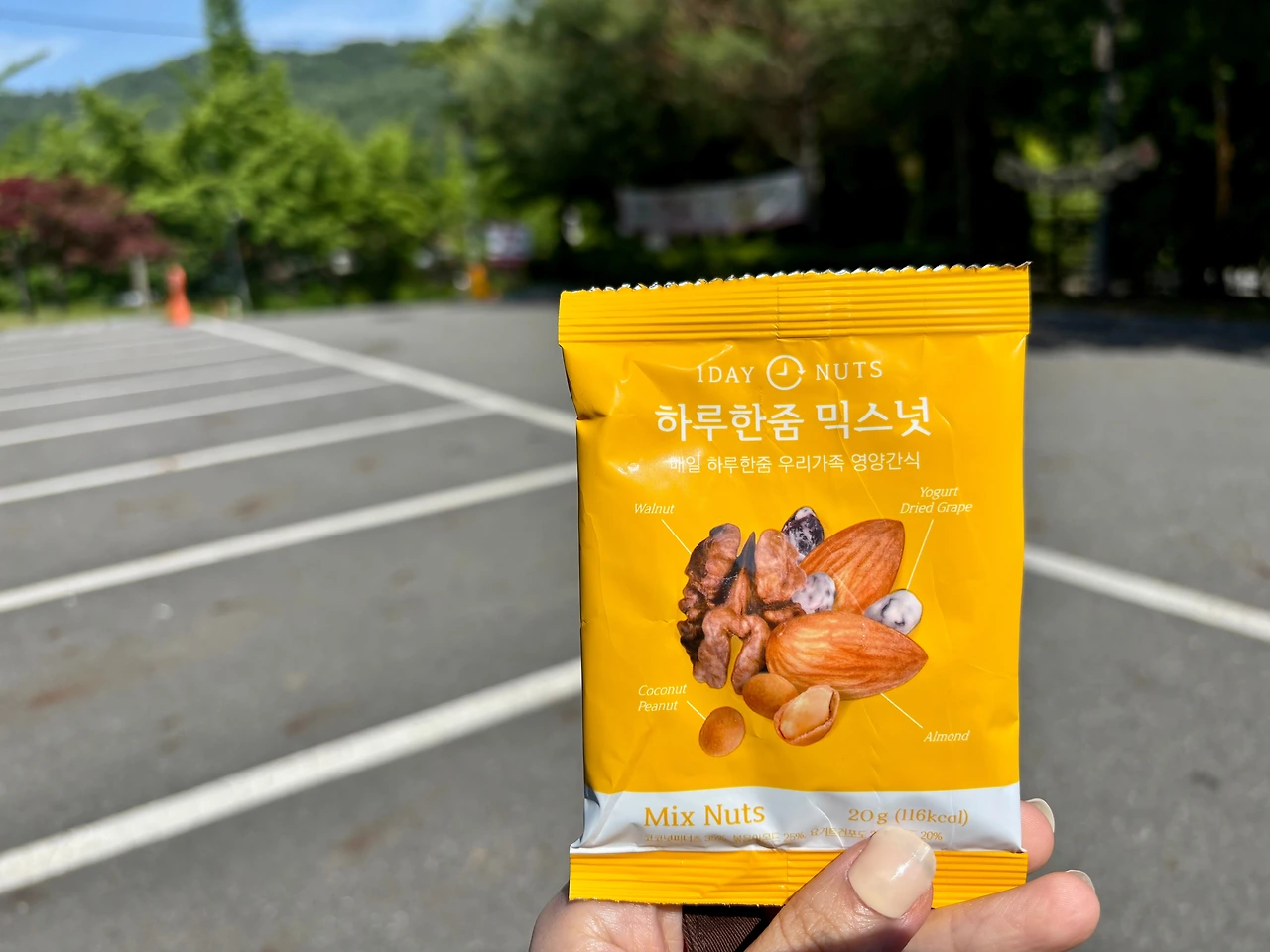 KakaoTalk_Photo_2025-06-02-12-10-54 001.jpeg