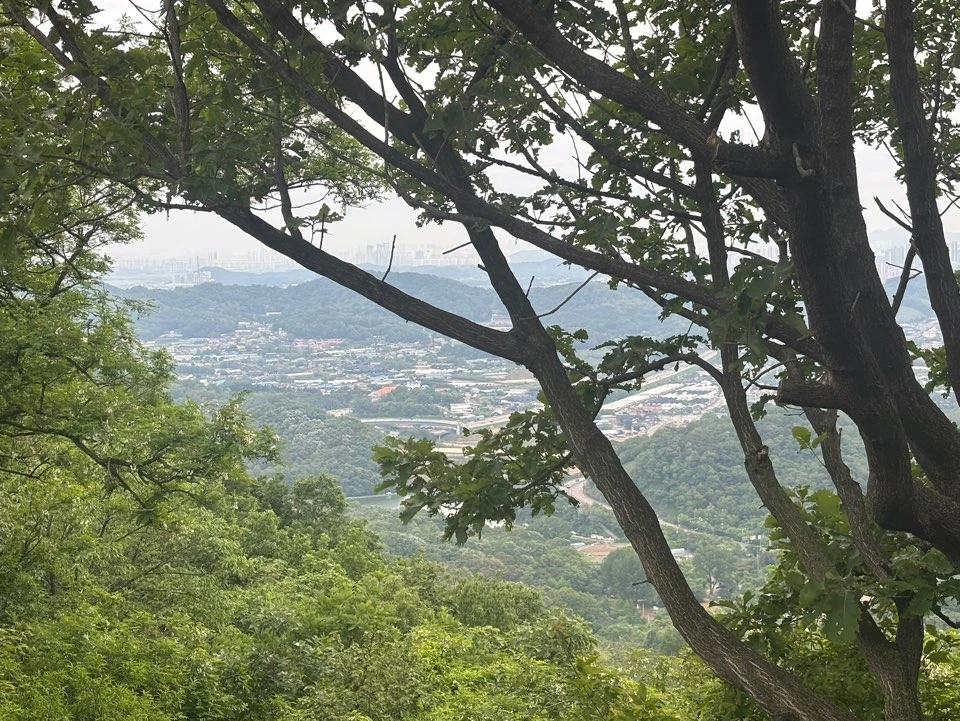 KakaoTalk_Photo_2025-05-25-11-22-03 004.jpeg