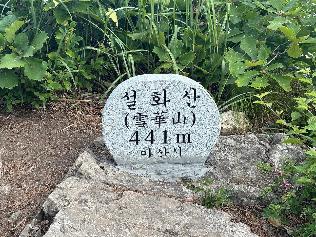 KakaoTalk_Photo_2025-06-08-20-57-34 010.jpeg