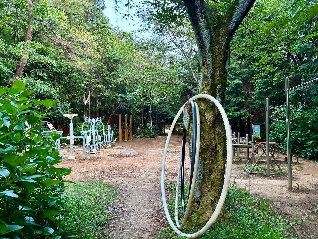 KakaoTalk_Photo_2025-06-02-12-12-49 005.jpeg