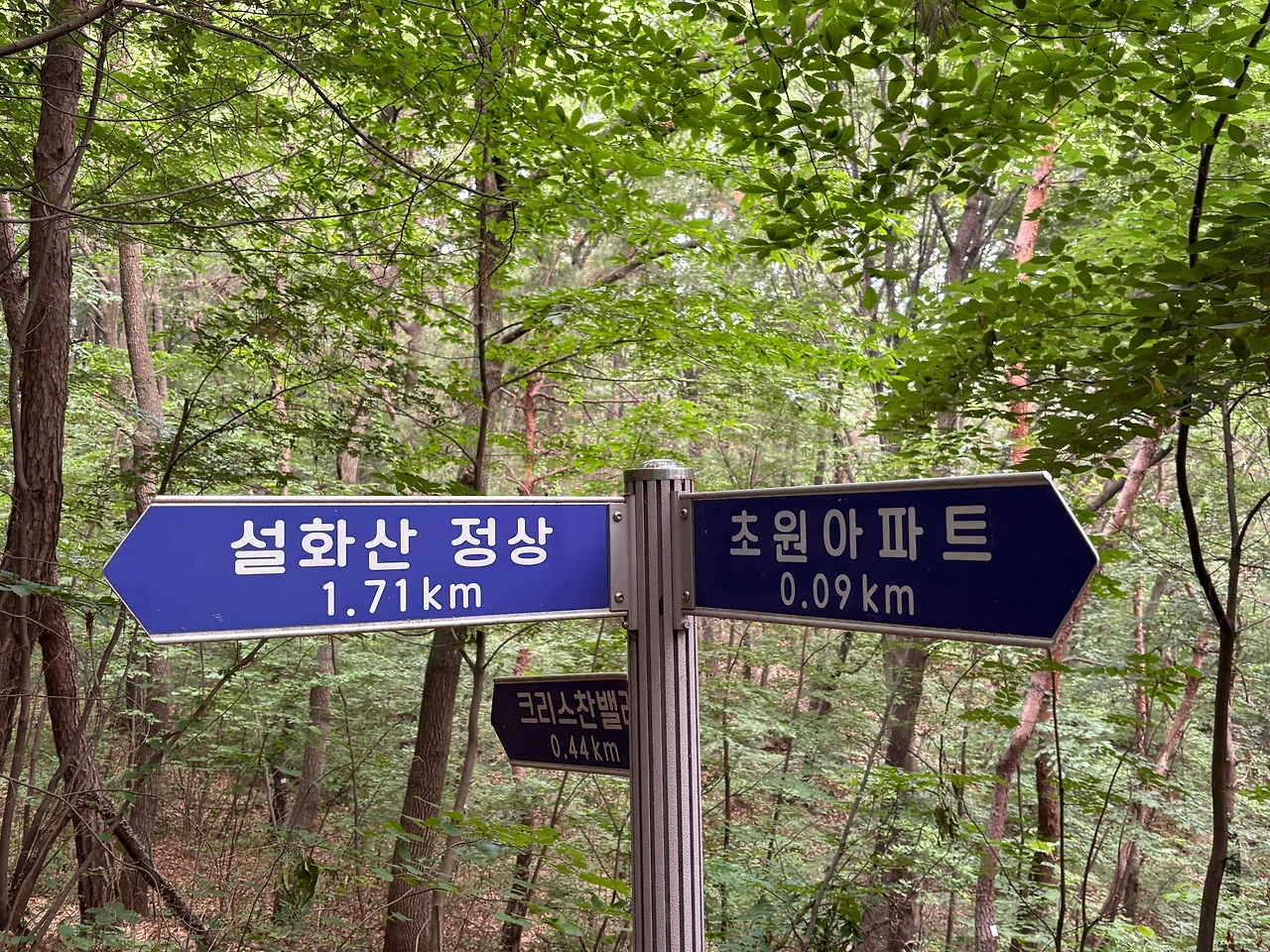 KakaoTalk_Photo_2025-06-08-20-57-30 002.jpeg