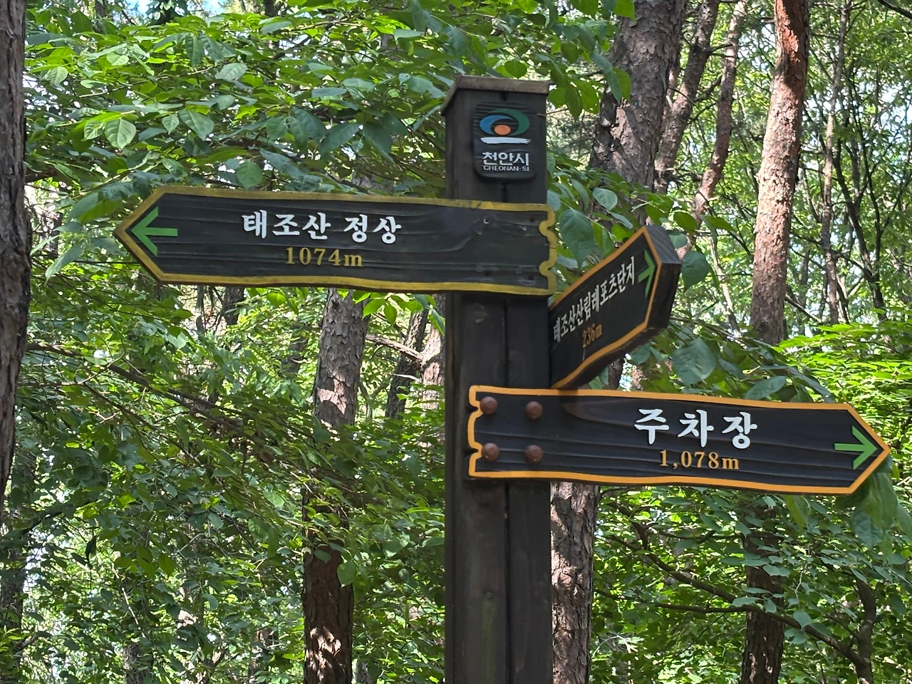 KakaoTalk_Photo_2025-06-02-12-11-13 007.jpeg