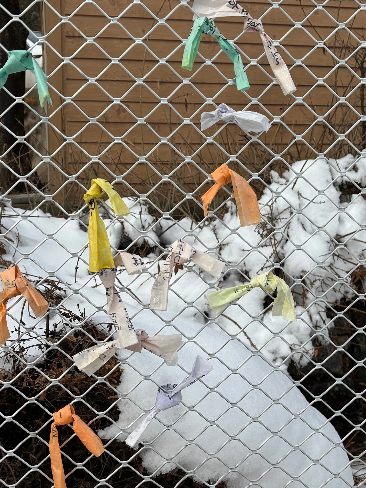 KakaoTalk_Photo_2025-02-02-20-06-07 008.jpeg